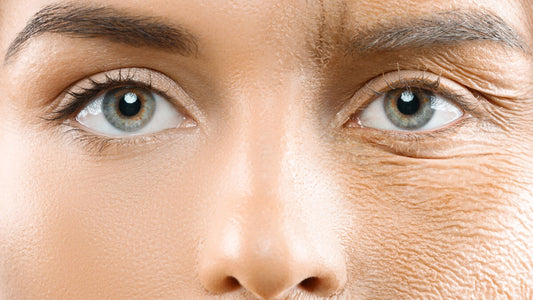 老化の正体を見抜く❗肌の機能