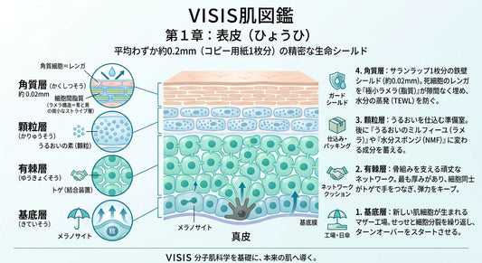 第1章：表皮の科学