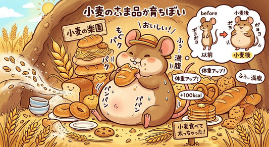 「4毒」の小麦の悪さが、証明されつつある❗