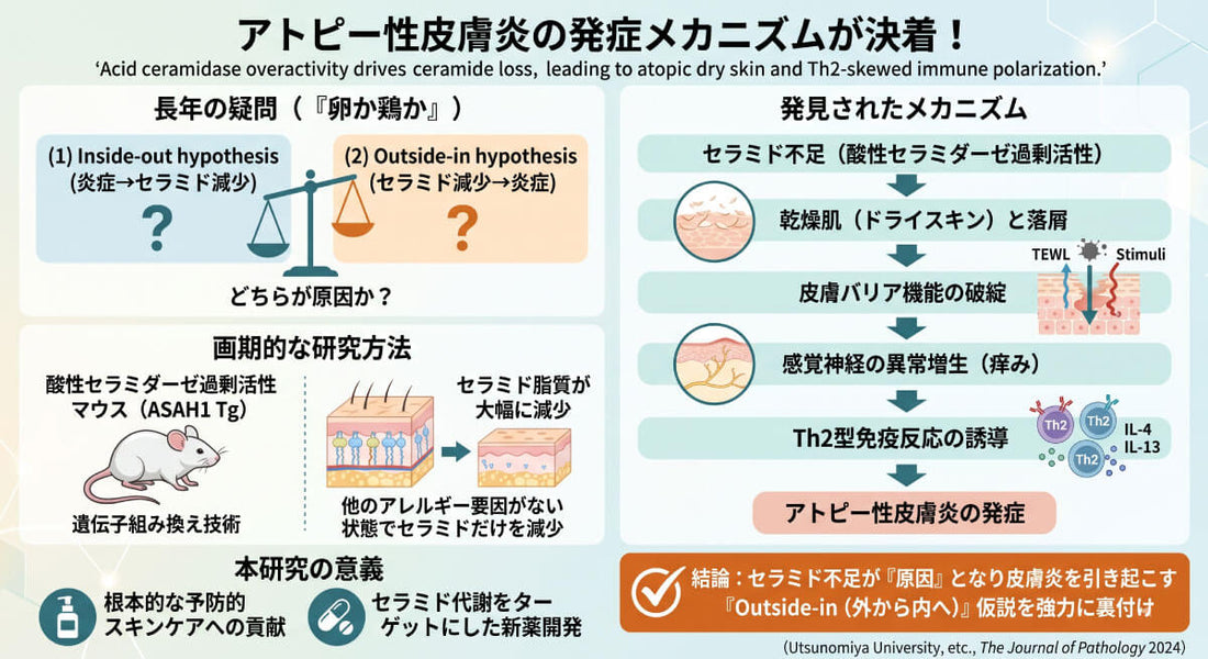 アトピー性皮膚炎の新常識✨