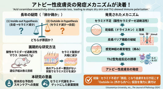 アトピー性皮膚炎の新常識✨