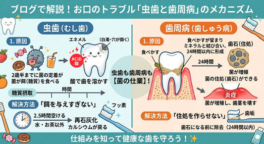 生活に役立つ豆知識❗