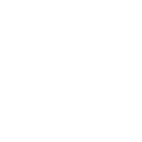 VISIS Logo W