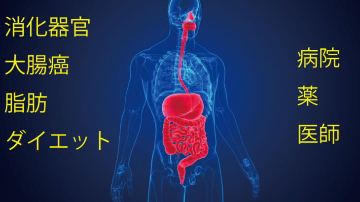 【VISIS式】消化器官健康法（大腸と脂肪）①