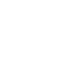 VISIS Logo W